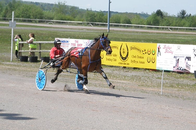Harness Red Regal (Nursery) 130523