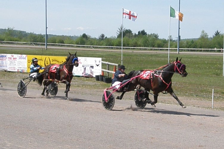 Harness Sally M (Nursery) 130523