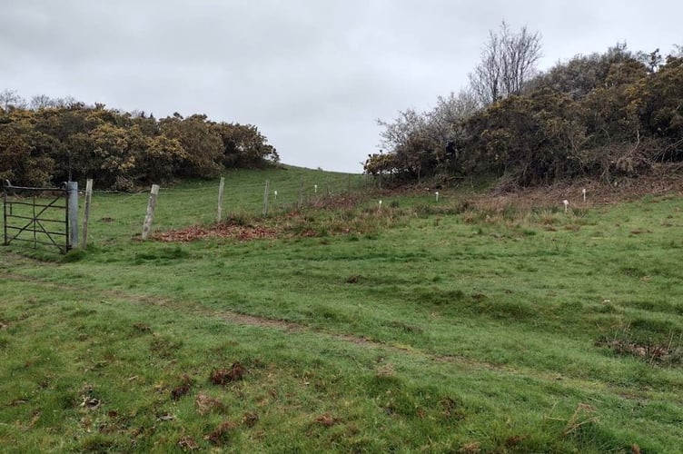 The solar panels will be sited on rough sheep grazing land at Minffordd