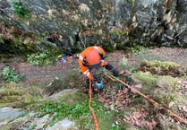 Work carried out to treat invasive alien plant on railway line