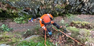 Work carried out to treat invasive alien plant on railway line