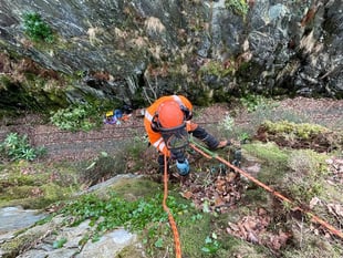 Work carried out to treat invasive alien plant on railway line
