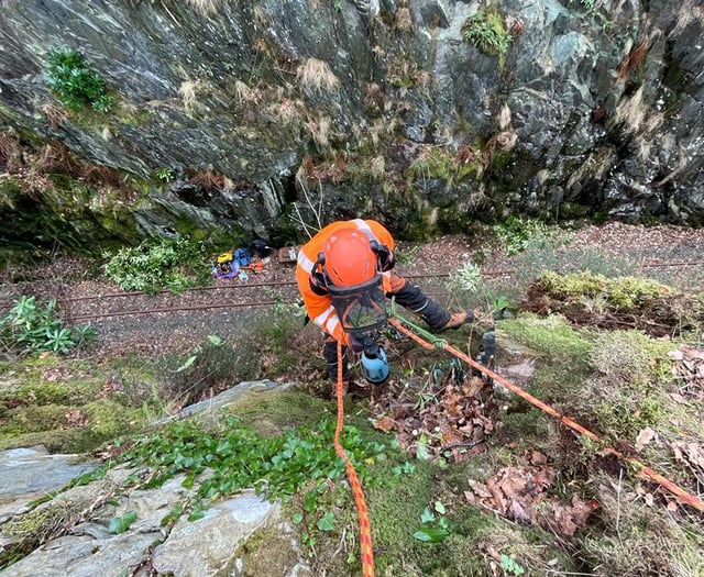 Work carried out to treat invasive alien plant on railway line