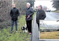 44 new homes to be built despite slew of objections