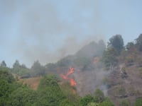 Crews from across mid and north Wales tackle weekend wild fires