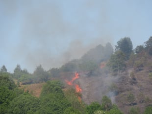 Crews from across mid and north Wales tackle weekend wild fires