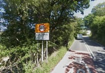 Police appeal after driver dies in A44 collision