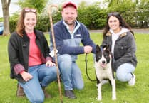Sheepdog handler Dewi’s success at Yorkshire sale