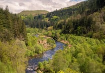 National Trust to set out 10-year plan for Hafod Estate