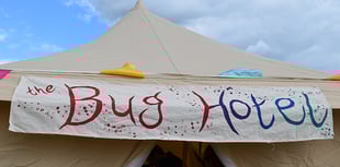 Mini musical adventure for little ones at The Bug Hotel