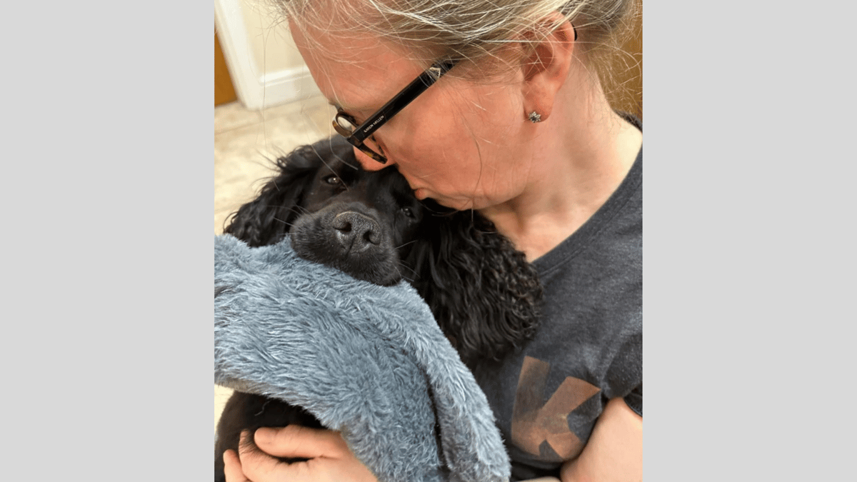 Missing dog found in ambulance 50 miles away returns home thanks to ...