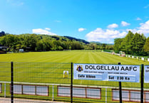 Ardal North East: Dolgellau denied chance to go third in the table