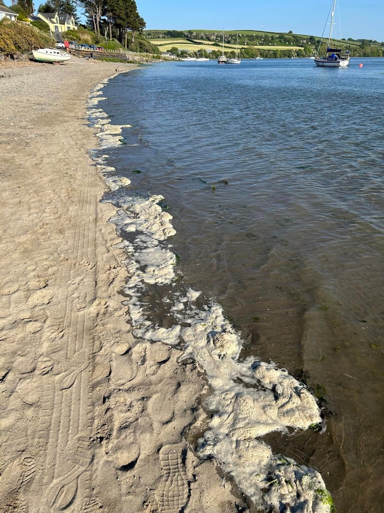 Suspected algal bloom in Cardigan