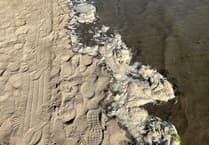 Fears over foul-smelling brown froth along Cardigan Bay
