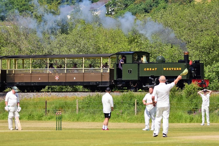 Cricket entertainment for the Vale of Rheidol Railway travellers