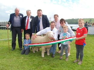 Sheep entries smash record for next weekend’s Aberystwyth Show