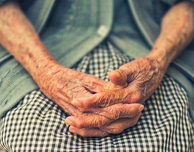 The most common jobs in Gwynedd revealed