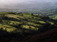 FUW raises suggestions and concerns over net zero policies