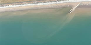 Aerial images spark fears over pollution amid sickness and fish deaths