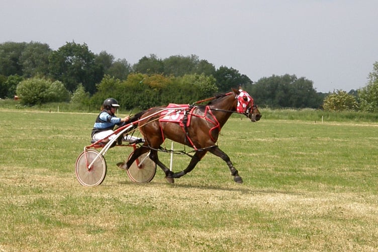 Wales & Border Harness Racing 110623
