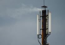 Is there a link between phone masts and decrease in insect species?