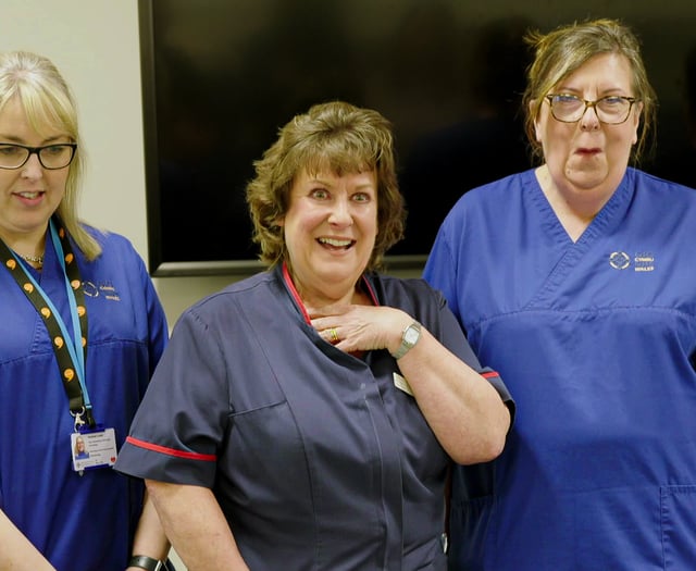 Aberystwyth, Porthmadog and Llangrannog feature in floral TV show