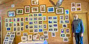 Wildlife encounters inspire photographer's new exhibition