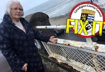 Castle Point 'looks like an uninviting mess’, claims councillor