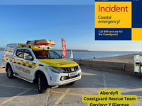 Woman rescued by emergency services following fall