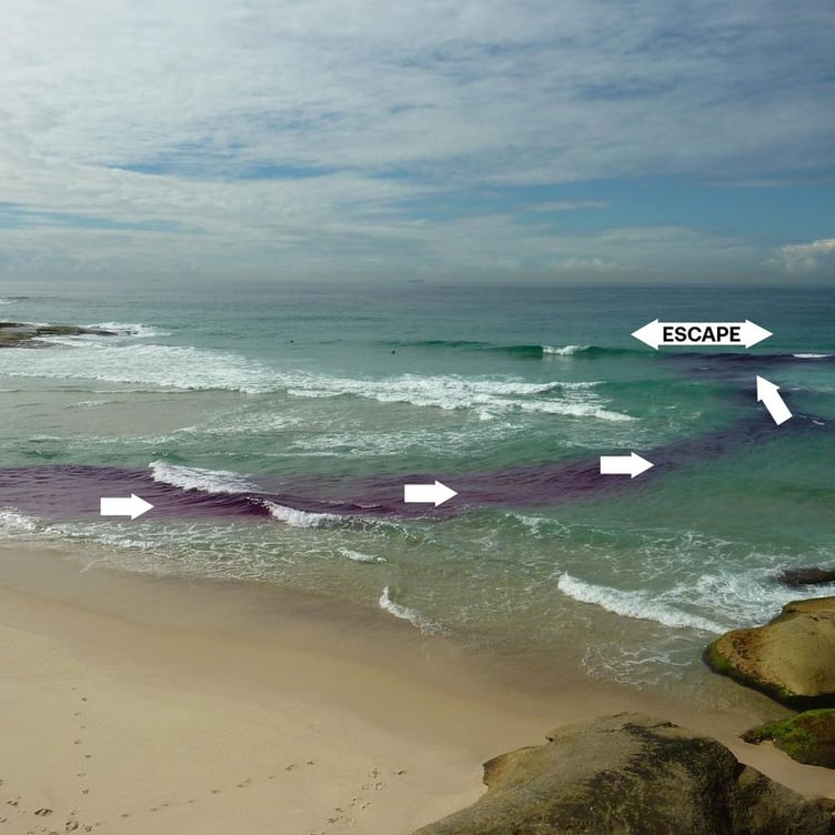 The image produced by Dr Rob Brander using dye shows the path of the currents and where to aim to escape them