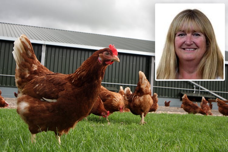 Julie James chicken farms