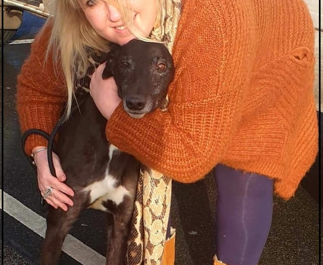 Broken-hearted woman set up centre for greyhounds