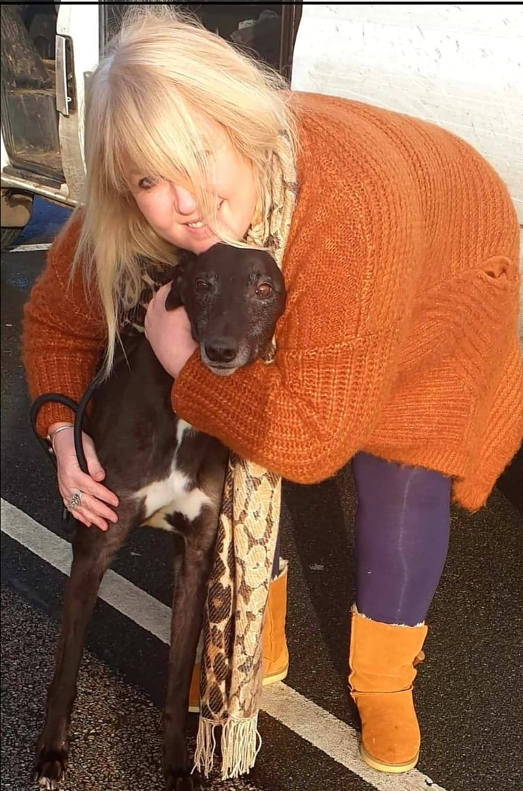 Hayley set up a centre to care for and rehome greyhounds