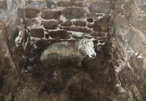 Farmer receives suspended sentence, fine and ban from owning animals