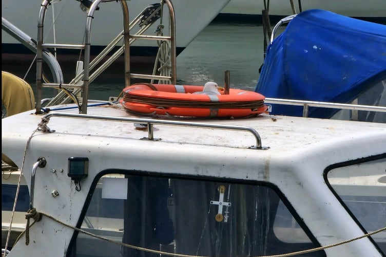 A seagull sits on the nest on top of Jon's boat