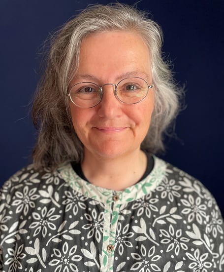 Professor Catrin Webster