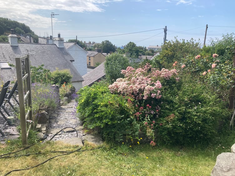 Alison Brown's garden in Aberarth is one of many that will be open to the public