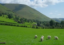 Just three per cent of farmers trust Welsh Government