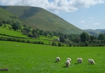 NFU and FUW warn Habitat Wales Scheme means farmers face 70% drop in funding