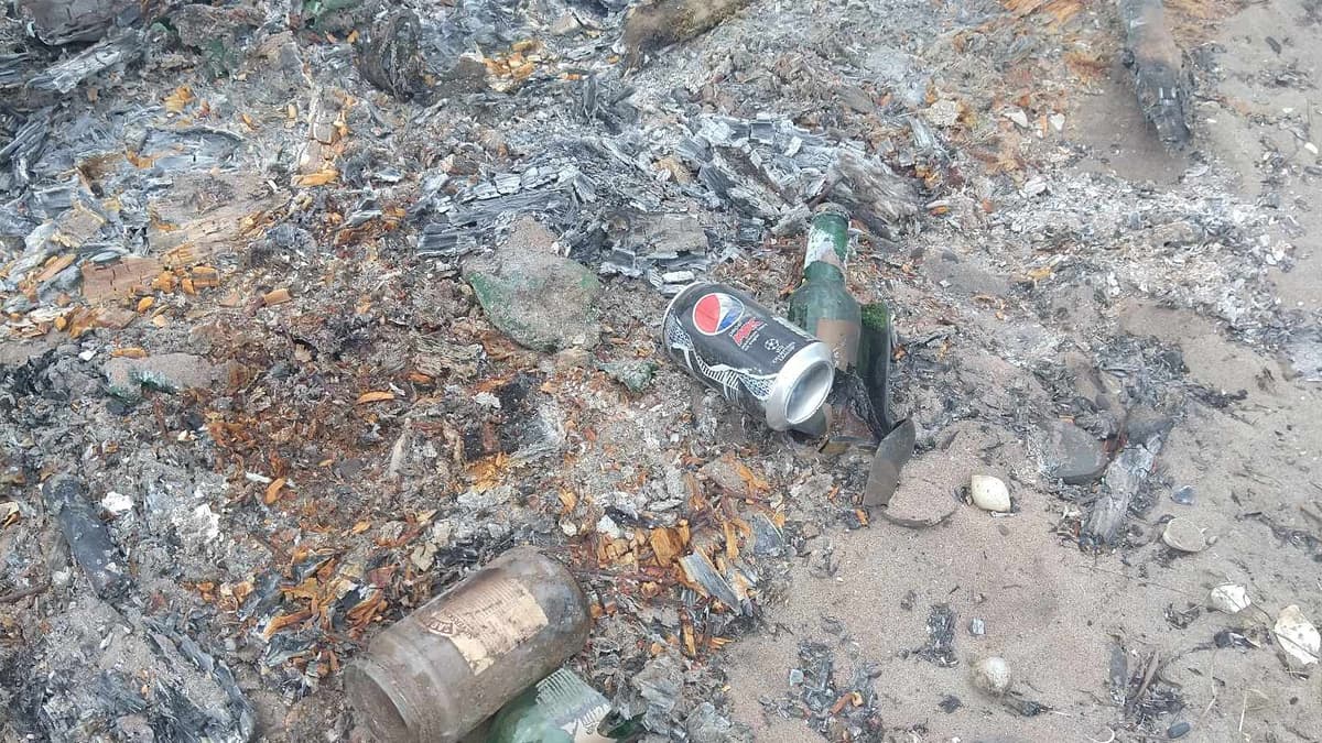 Fears for endangered birds' eggs after 'heartbreaking' damage to conservation area