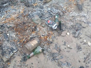 Fears for endangered birds' eggs after damage to conservation area 