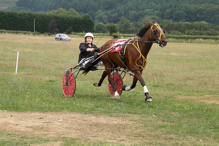 Grade A Easy Company 250623.jpg