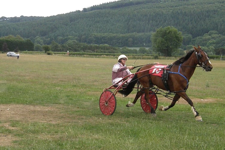 Grade B winner Beg For Mercy