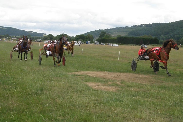 Novice Ellavalad 250623