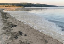 How a warmer climate is causing algal bloom to plague Cardigan Bay