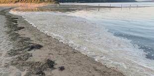 How a warmer climate is causing algal bloom to plague Cardigan Bay