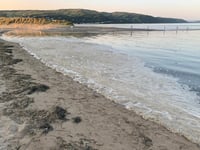 How a warmer climate is causing algal bloom to plague Cardigan Bay