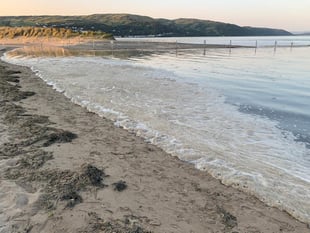 How a warmer climate is causing algal bloom to plague Cardigan Bay