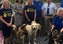Former guide dogs take on coast path for charity