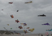 Town holds successful kite festival